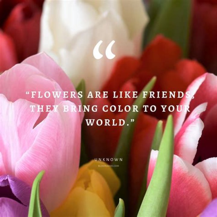 58 Inspirational Flower Quotes - Cute Flower Sayings About Life and Love