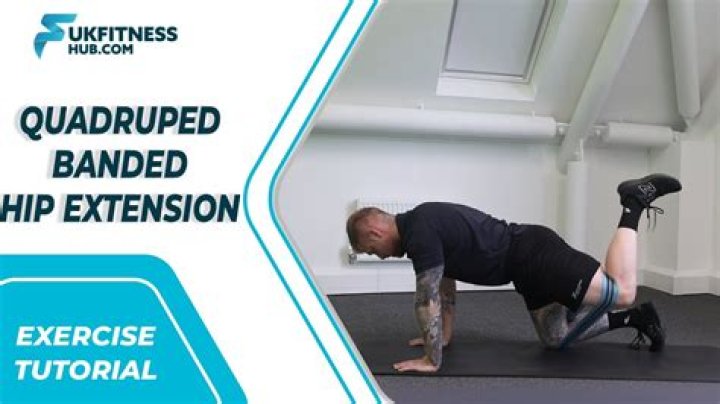 Best Hip Extension Exercises For Ultimate Glute Training