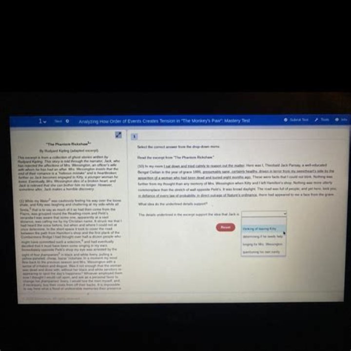 Bonnieys Review: Check The Details Here!