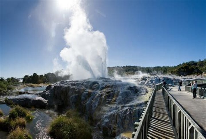 Dancing Mud: the bubbling mud pots in Rotorua, New Zealand