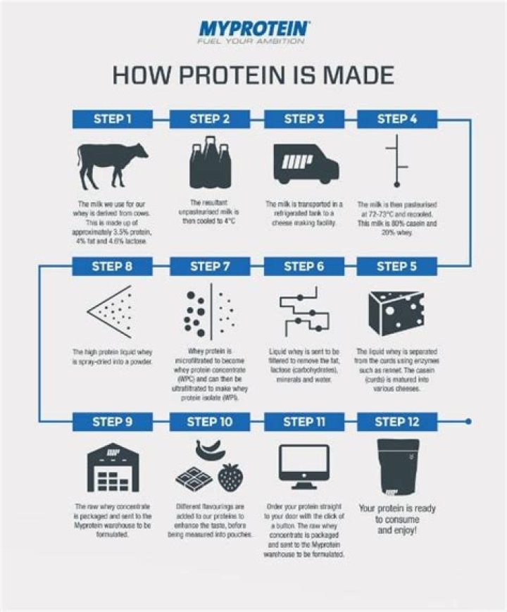 How Is Whey Protein Made?
