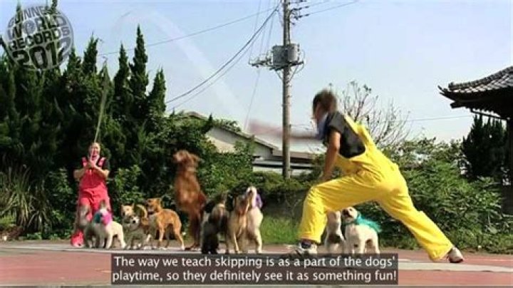 Japanese square lashing, a video demonstration
