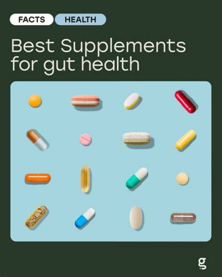 The 4 Best Supplements For Gut Health