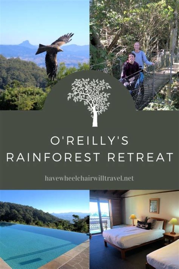 The Luck of O'Reilly's Rainforest Retreat