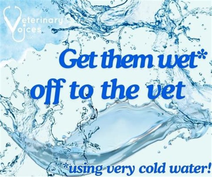 Women Tell You How To Get Them Wet